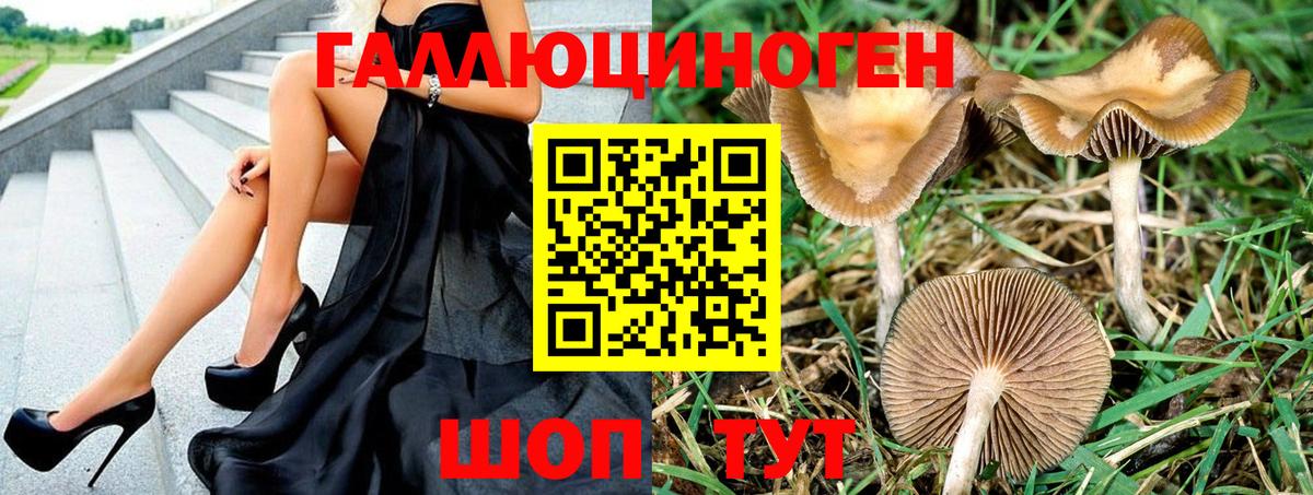 Галлюциногенные грибы Cubensis  Вход с VPN  Галлюциногенные грибы MAGIC MUSHROOMS  Кириши 