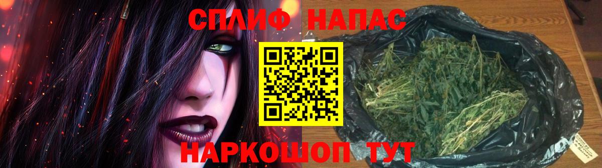 Бошки Шишки планчик Кириши